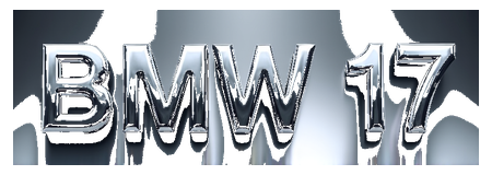 bmw 17 logo